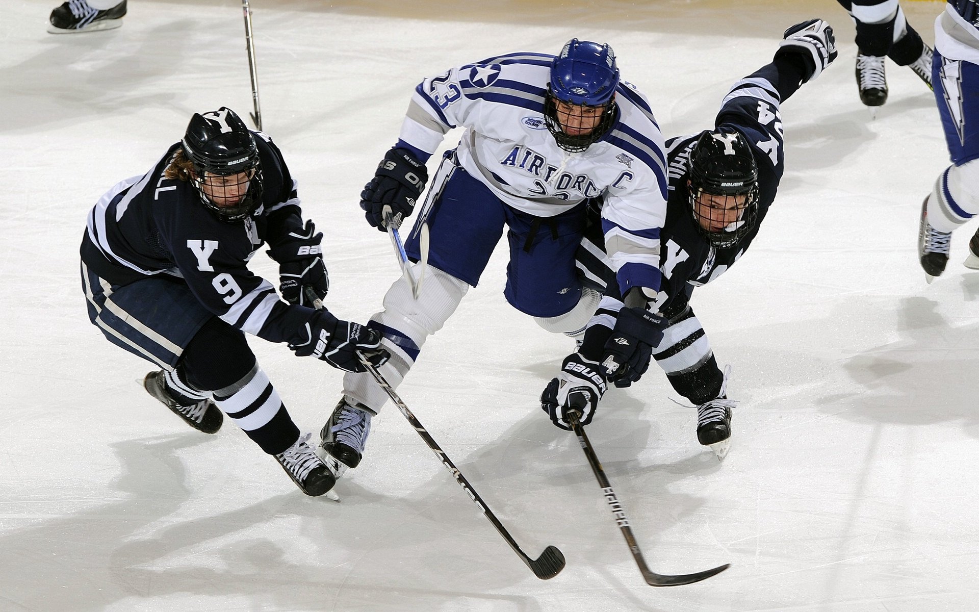“彼得森的战术智慧，成就南非羚羊队攻守平衡”